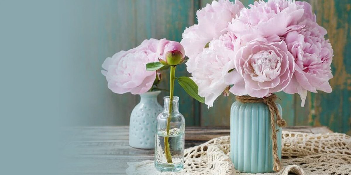 Peony Vastu Tips