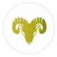 aries